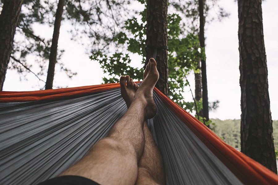 View inside a hammock