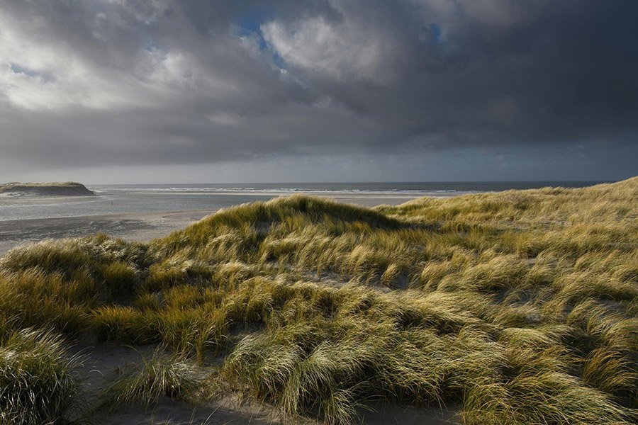 Netherlands beach