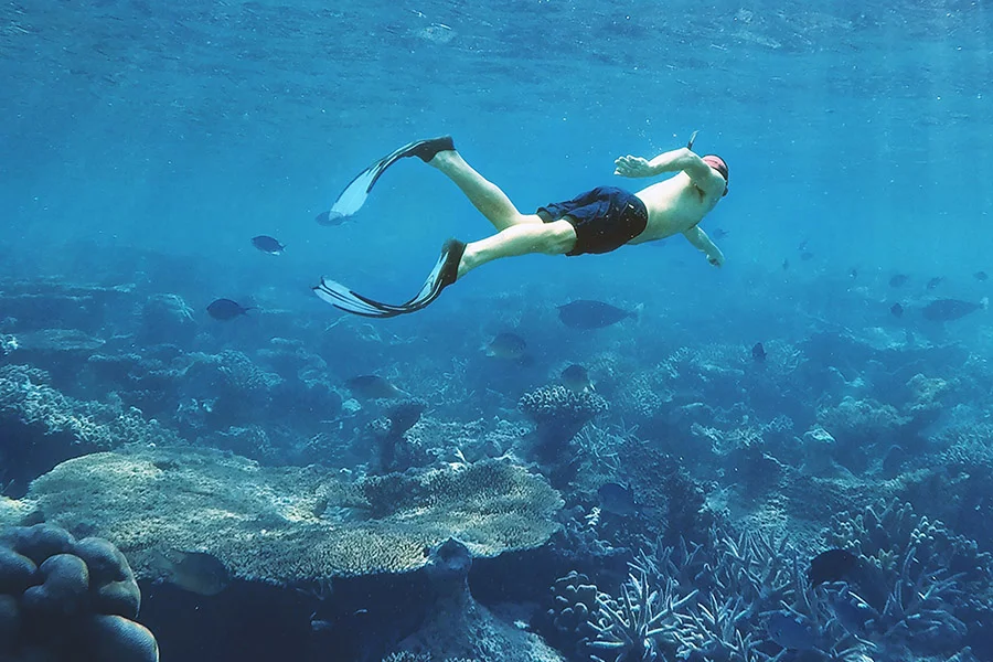 Snorkeling Fins - Guide2