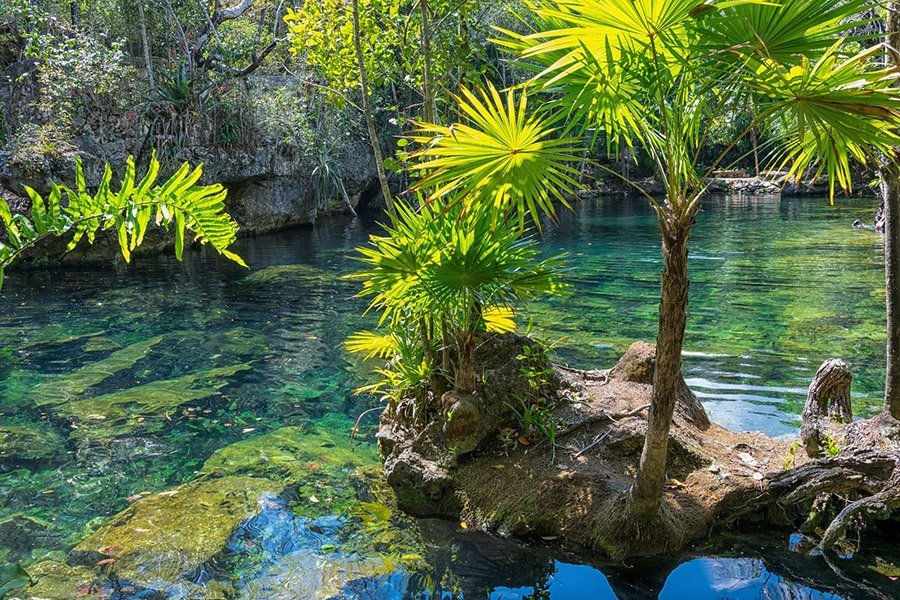 cenote